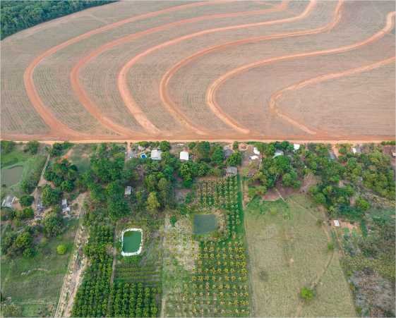 A produção de soja transformou o cerrado árido em terras produtivas