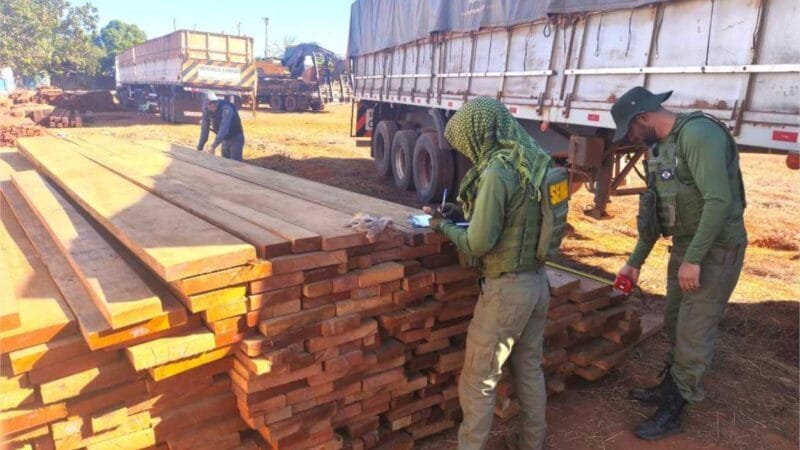 Sema e Policia Militar apreendem carretas com castanheiras durante fiscalização no interior de MT