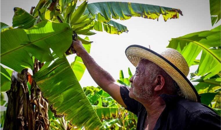 Fórum realizado pela Seaf vai abordar estratégias para acesso ao crédito fundiário e desenvolvimento do campo