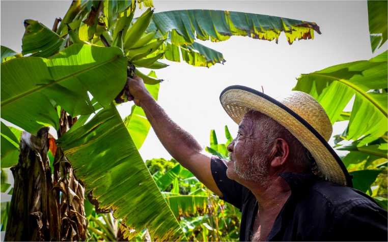 Fórum realizado pela Seaf vai abordar estratégias para acesso ao crédito fundiário e desenvolvimento do campo