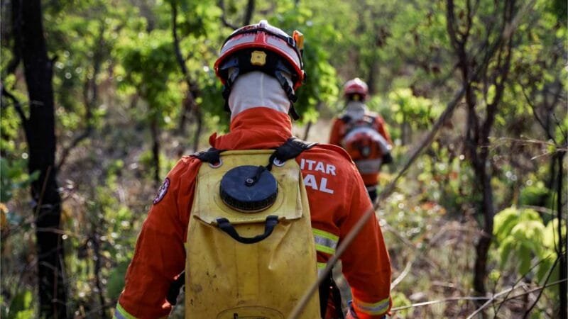 Corpo de Bombeiros extingue incêndio florestal em Cáceres neste sábado (27)