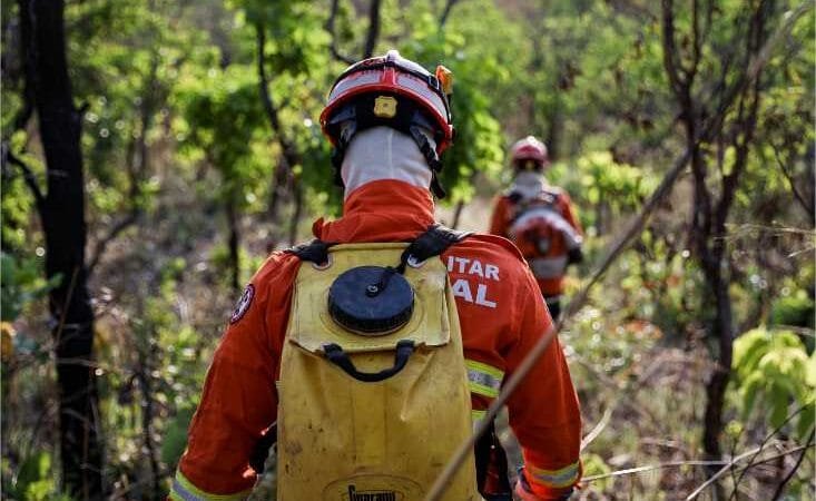 Corpo de Bombeiros segue no combate a incêndio florestal em Cáceres nesta segunda-feira (01)