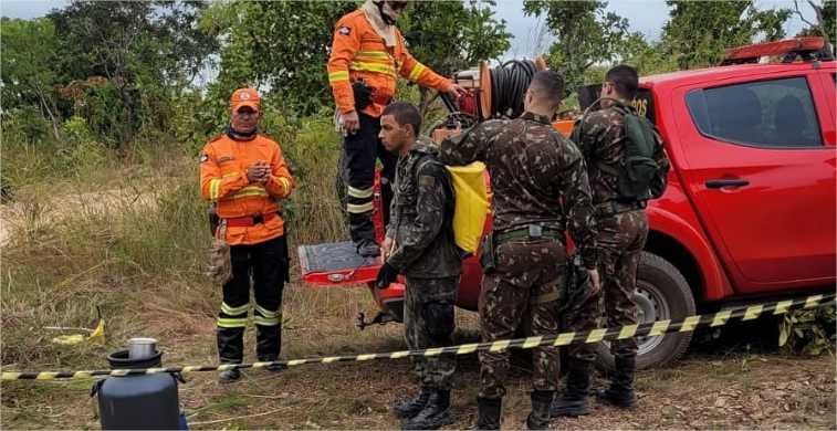 Corpo de Bombeiros capacitou 1,2 mil brigadistas para reforçar combate aos incêndios florestais