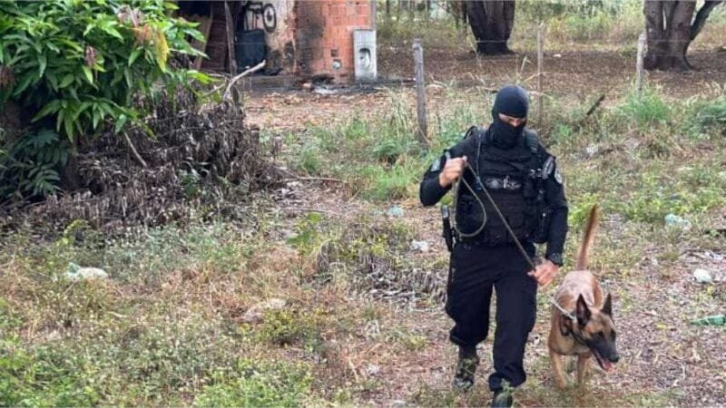 Pré-candidato é preso em flagrante durante operação de combate ao tráfico; veja vídeos