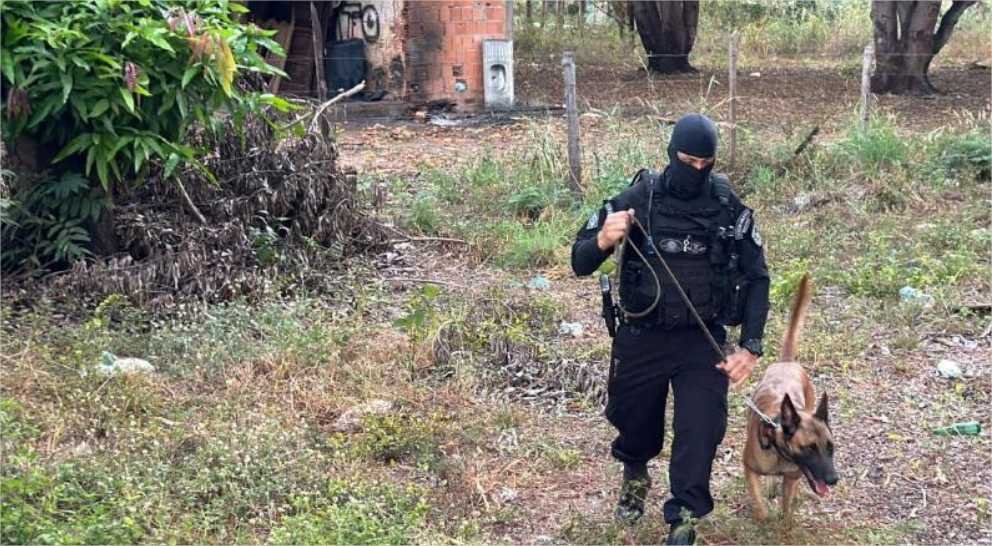 Pré-candidato é preso em flagrante durante operação de combate ao tráfico; veja vídeos