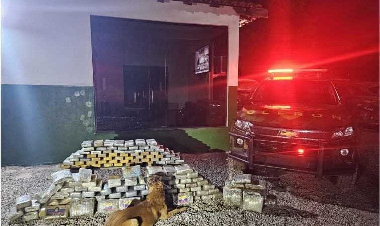 Gefron apreende 153 kg de drogas e gera prejuízo de R$ 1,6 milhão ao crime organizado