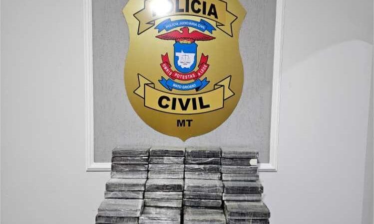 Em uma semana, forças de segurança de MT apreendem R$ 14 milhões em drogas e fazem prisões em três estados