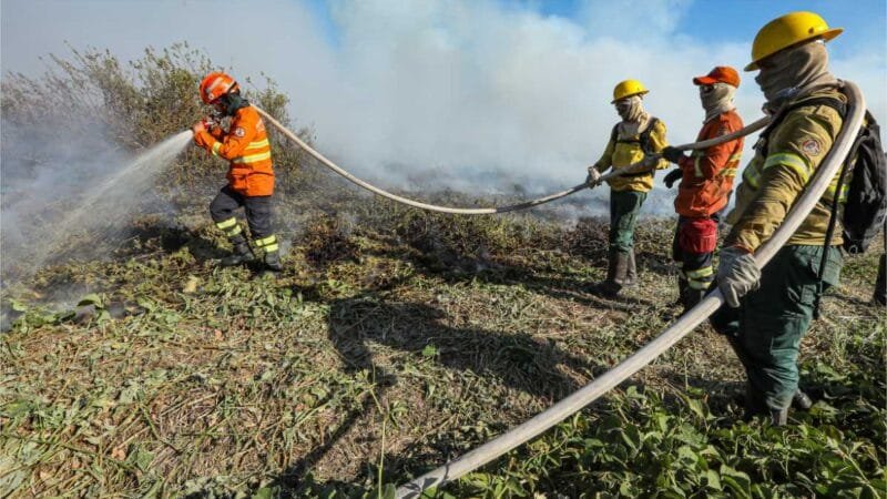 Corpo de Bombeiros extingue incêndio florestal em Primavera do Leste nesta segunda-feira (29)