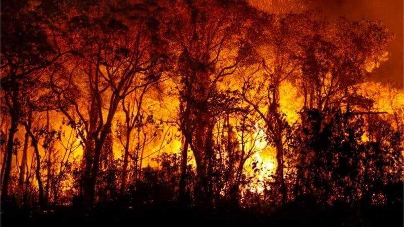 Pantanal: Ministério afirma que 96% dos incêndios foram extintos ou controlados