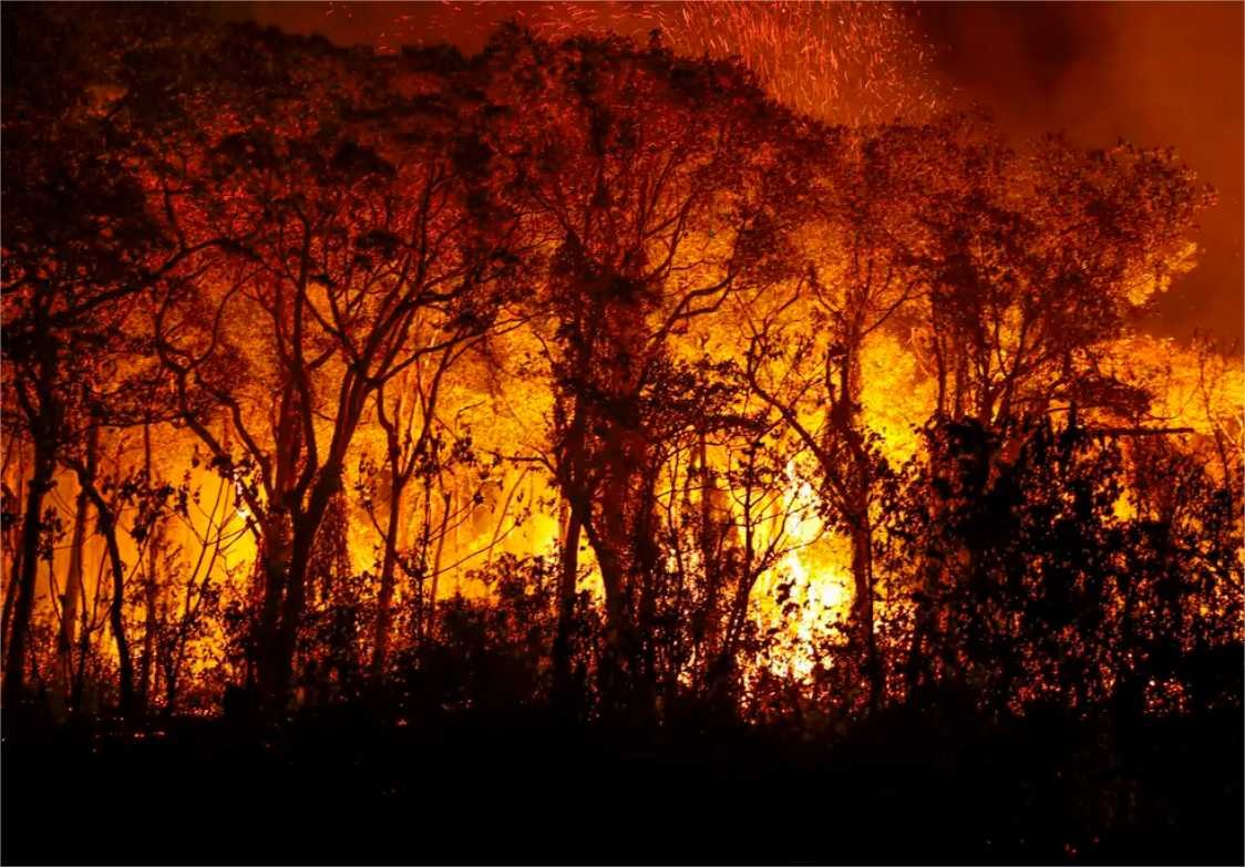 Pantanal: Ministério afirma que 96% dos incêndios foram extintos ou controlados