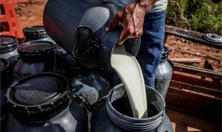 Dados de novo sistema da Seaf apontam pecuária leiteira como atividade mais desenvolvida na agricultura familiar de MT