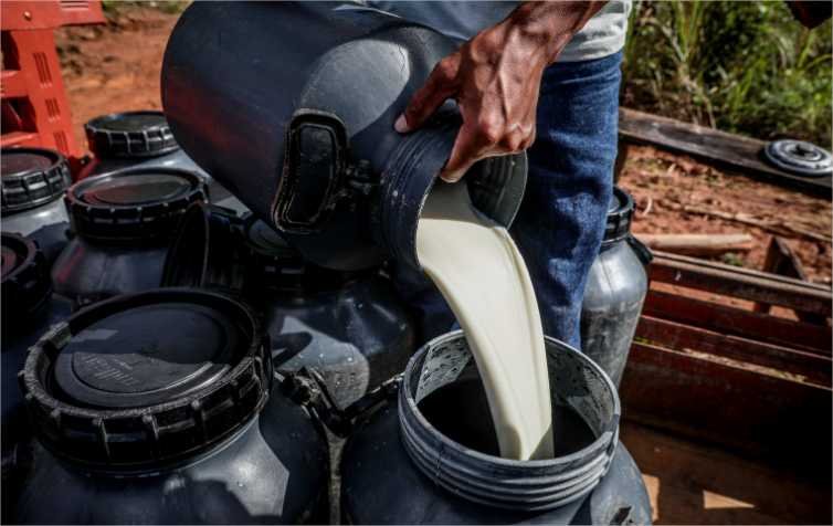 Dados de novo sistema da Seaf apontam pecuária leiteira como atividade mais desenvolvida na agricultura familiar de MT