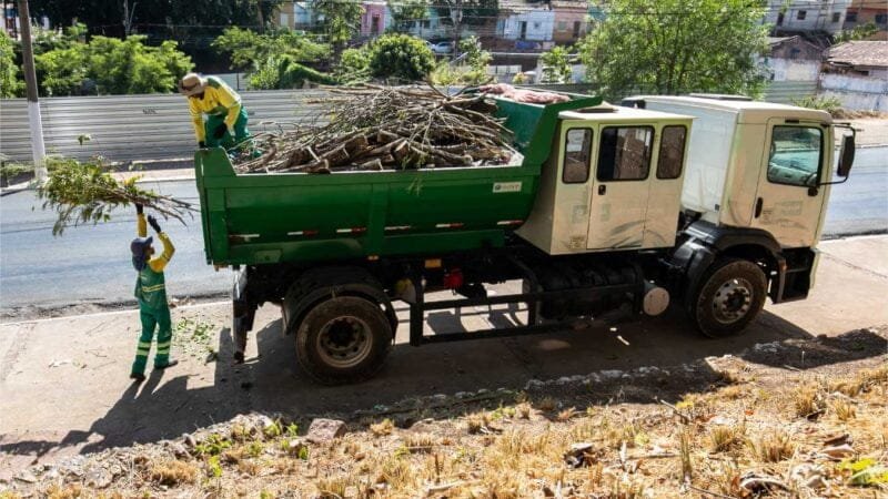 Limpurb retira sete toneladas de detritos do Morro da Luz em dois dias de mutirão