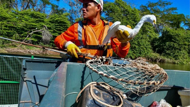 Balsa Ecológica retirará cerca de 150 toneladas de lixo do Rio Cuiabá até dezembro; animais são salvos durante ações de limpeza