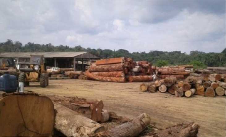 Trabalhador morre esmagado por tora de madeira em MT