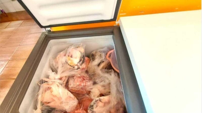 Sema-MT e PM apreendem 45 kg de pescado ilegal em Santa Terezinha