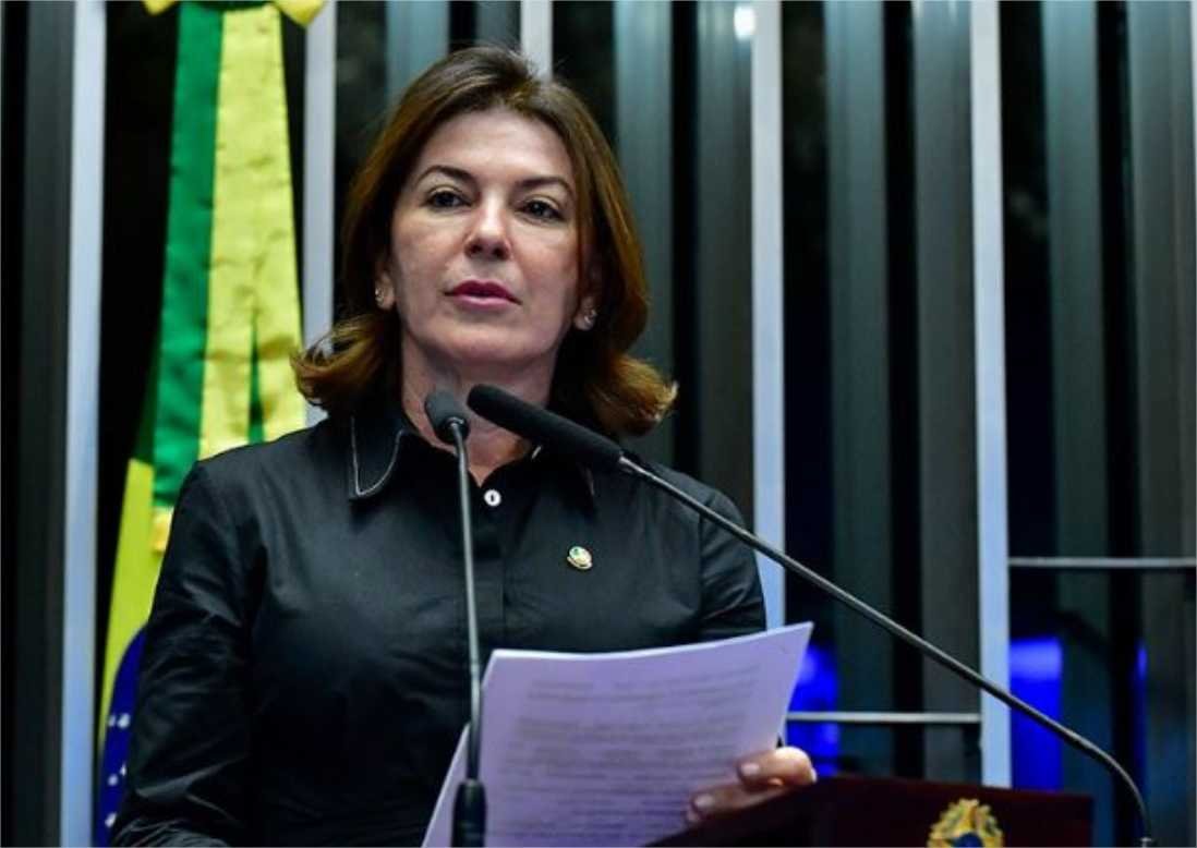 Martinelli critica ausência do governo em audiência sobre moratória da soja