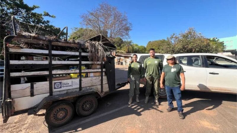 Em ação preventiva, Sema reforça equipe de fauna com cinco veterinários especializados em animais silvestres