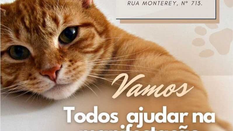 Vamos todos ajudar na manifestação conta MAUS TRATOS