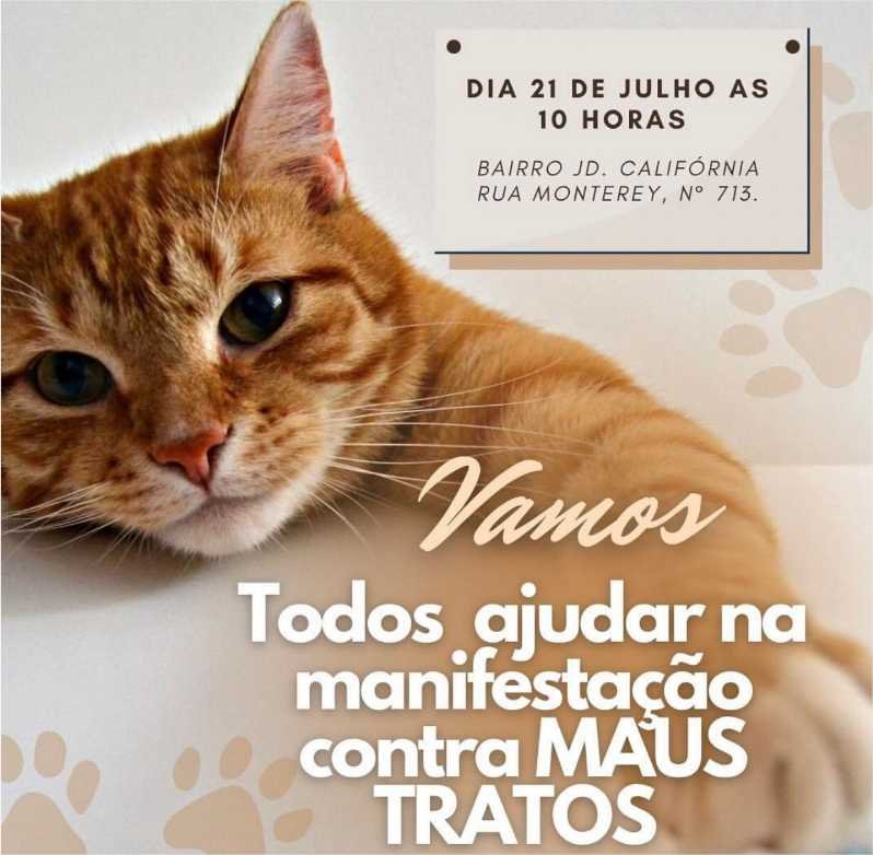 Vamos todos ajudar na manifestação conta MAUS TRATOS