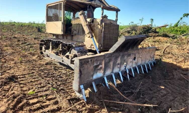 Batalhão Ambiental prende três pessoas e aplica R$ 450 mil em multas por desmatamento ilegal