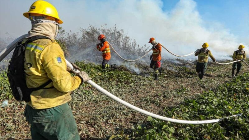 Corpo de Bombeiros combate 20 incêndios florestais em Mato Grosso nesta segunda-feira (21)