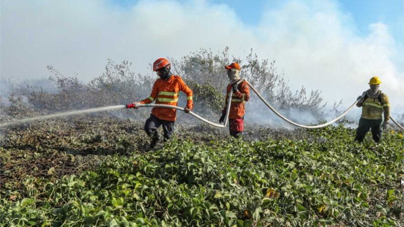 Corpo de Bombeiros combate 15 incêndios florestais em Mato Grosso nesta quarta-feira (31)
