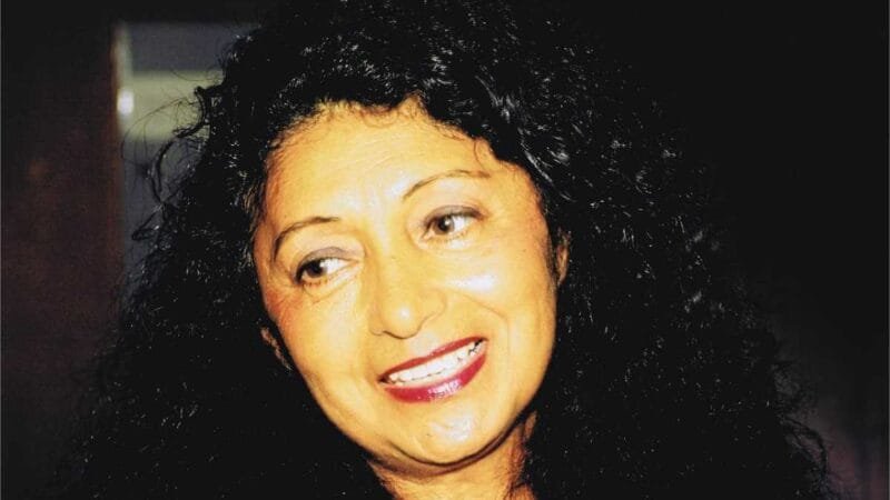 Filme e livro produzidos com recursos do Governo de Mato Grosso são apresentados em Nova Iorque