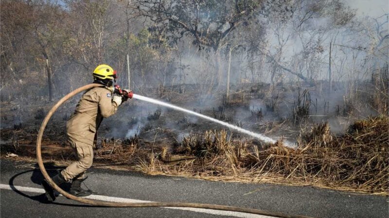 Corpo de Bombeiros combate 25 incêndios florestais em Mato Grosso nesta quinta-feira (03)