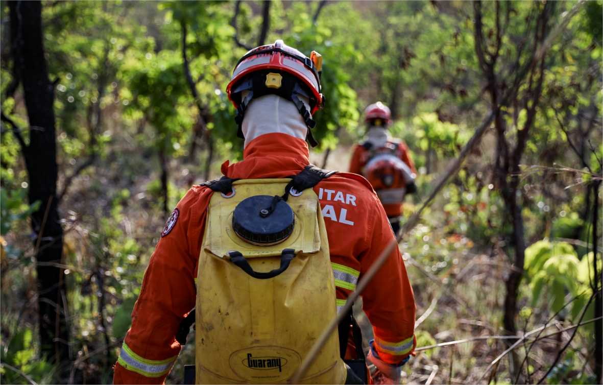 Bombeiros de MT combatem incêndio florestal na Estrada da Guia
