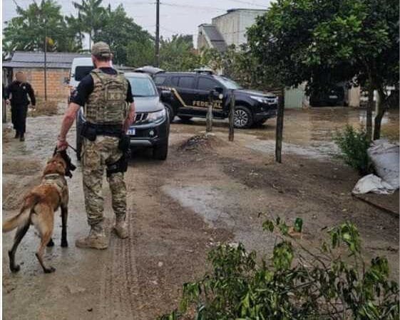 PF faz operação contra tráfico por “mulas humanas”; grupo transportou mais de 100 kg de cocaína