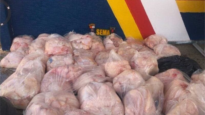 Sema e PM multam dupla em R$ 294 mil por caça de mais de 500 kg de carne de jacaré