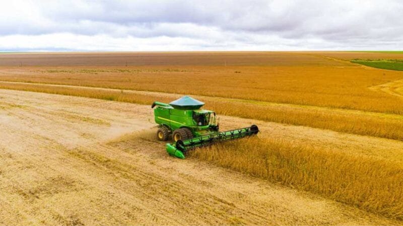 Soja | Relatório do USDA derruba cotações em Chicago e impacta mercado brasileiro