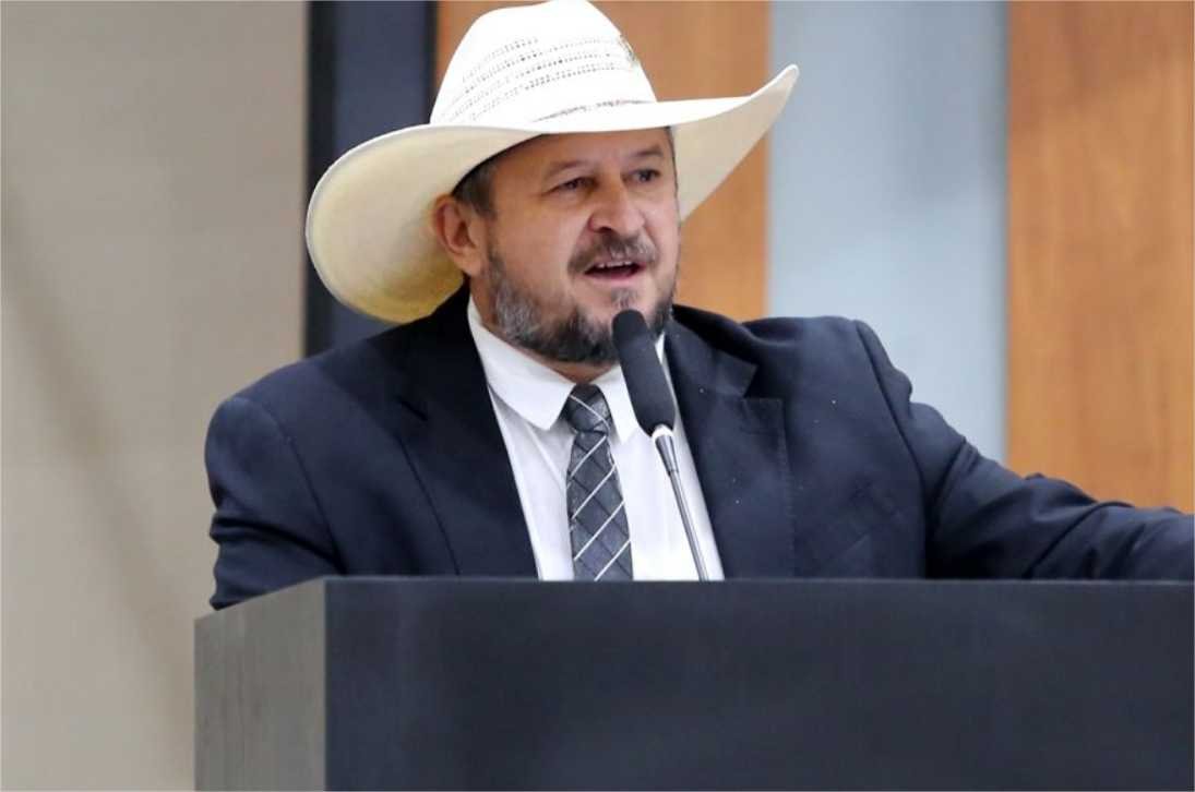 Cattani: “É um animal, não pode ser considerado ser humano”