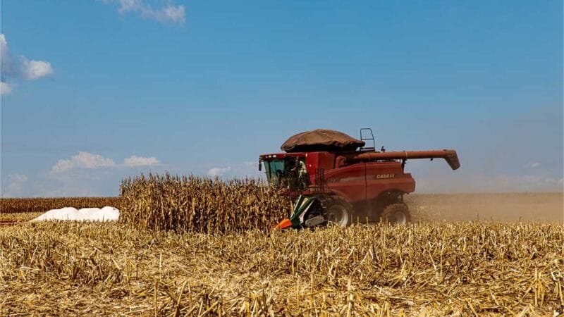 No primeiro semestre de 2024 já são 41,7 mil novas vagas de saldo no estado