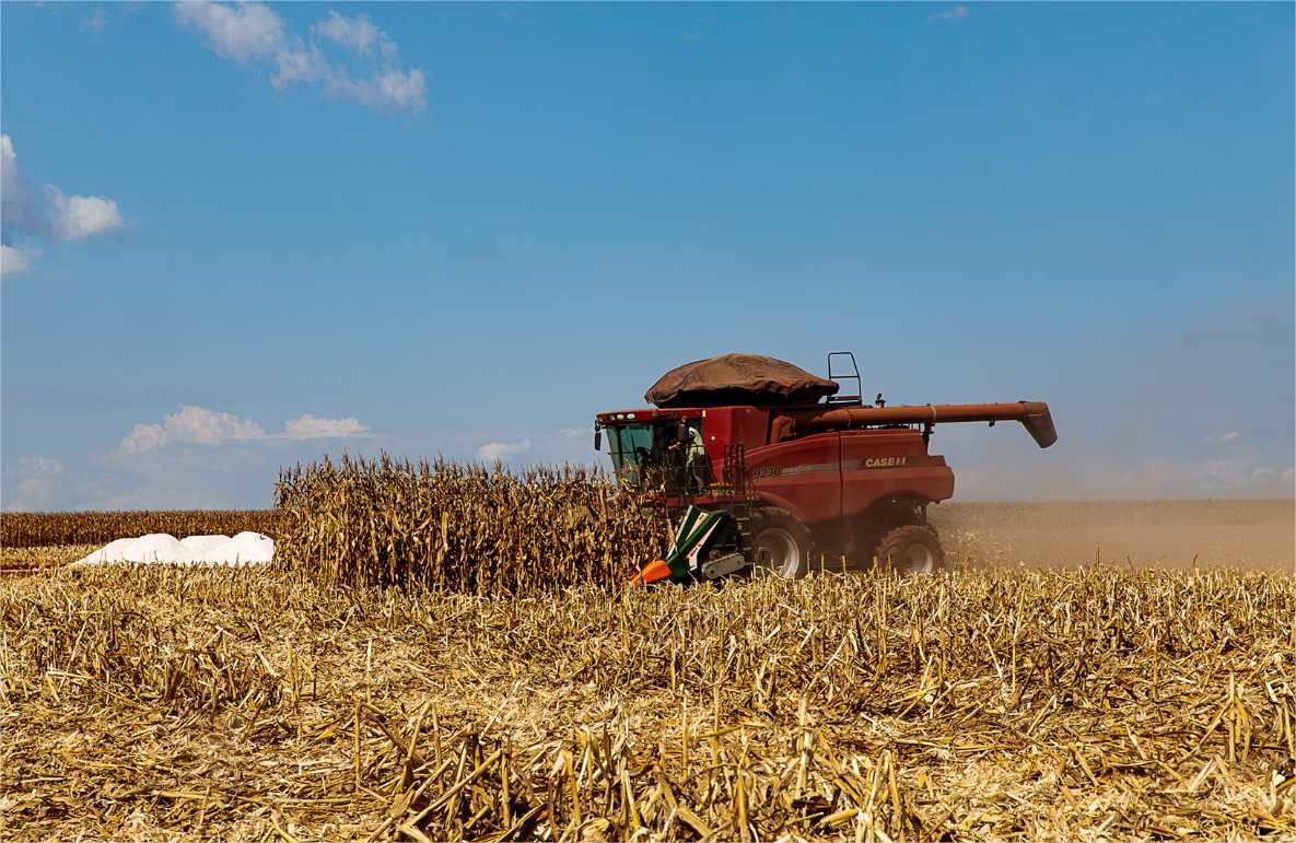 No primeiro semestre de 2024 já são 41,7 mil novas vagas de saldo no estado