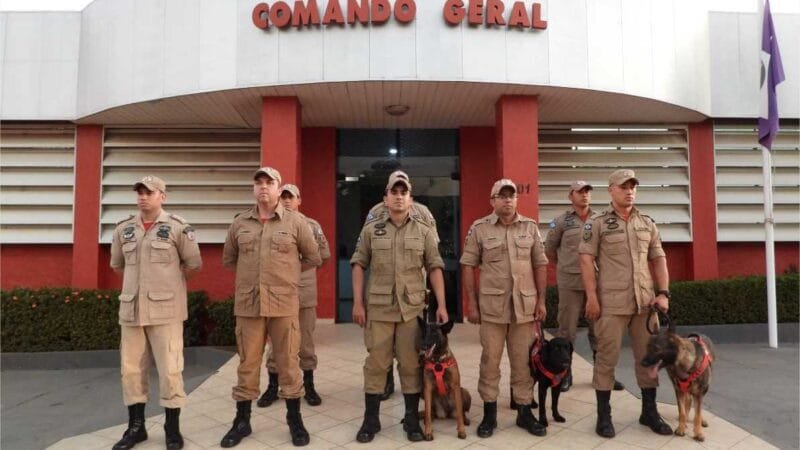 Bombeiros de MT retornam após operação de busca por desaparecidos no RS