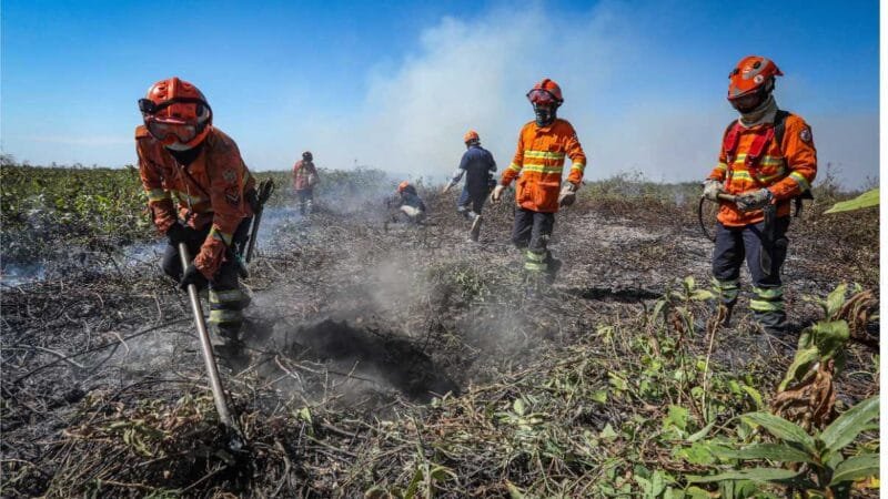 Corpo de Bombeiros divulga resultado e convoca aprovados no seletivo para brigadistas