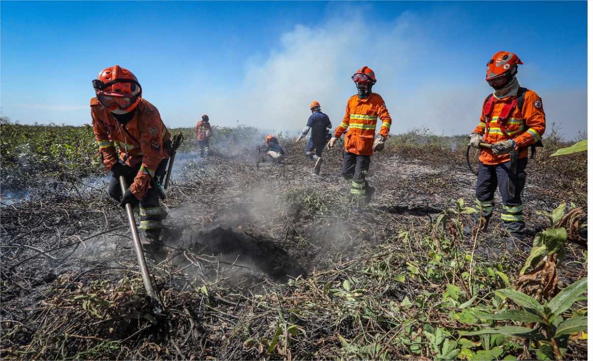 Corpo de Bombeiros divulga resultado e convoca aprovados no seletivo para brigadistas