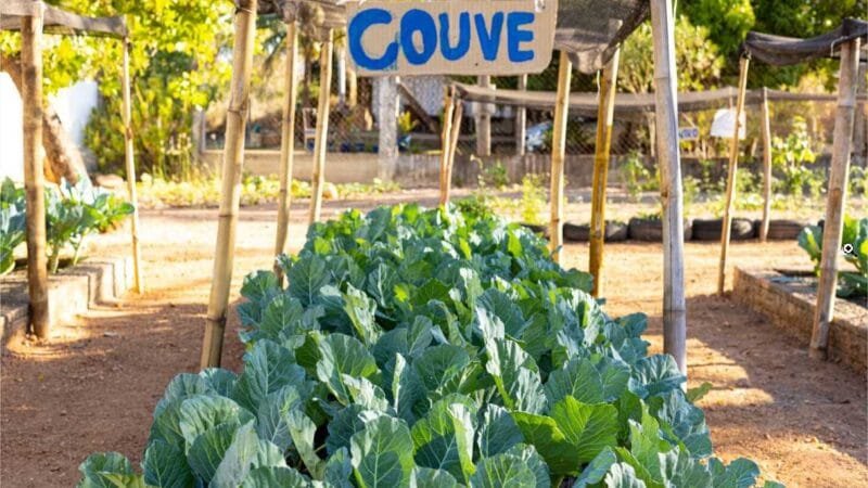 Várzea Grande tem 45 escolas em Tempo Ampliado e Integral