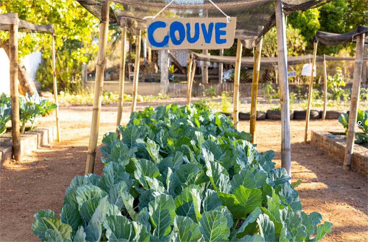 Várzea Grande tem 45 escolas em Tempo Ampliado e Integral