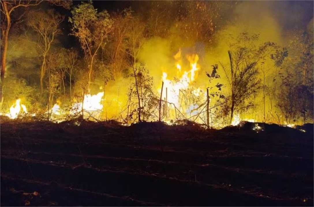 Incêndio de grandes proporções atinge aldeia indígena em MT