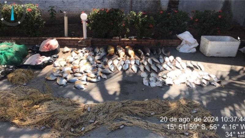 Polícia Militar e Sema apreendem 102 quilos de pescado e 33 quilos de carne de jacaré em Barão de Melgaço