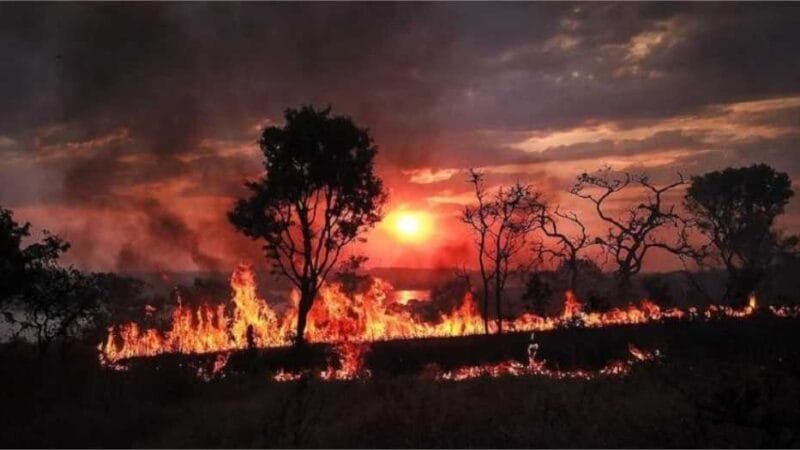 Ibama prevê que queimadas irão se alastrar por mais dois meses