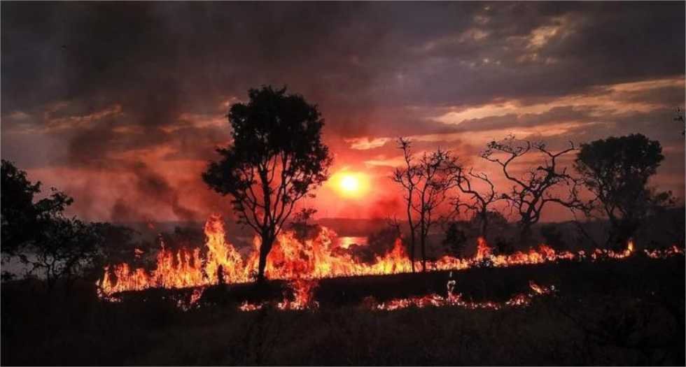 Ibama prevê que queimadas irão se alastrar por mais dois meses