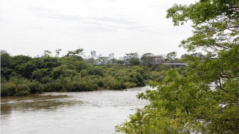 Defeso da Piracema em Mato Grosso será entre 1º de outubro e 31 de janeiro