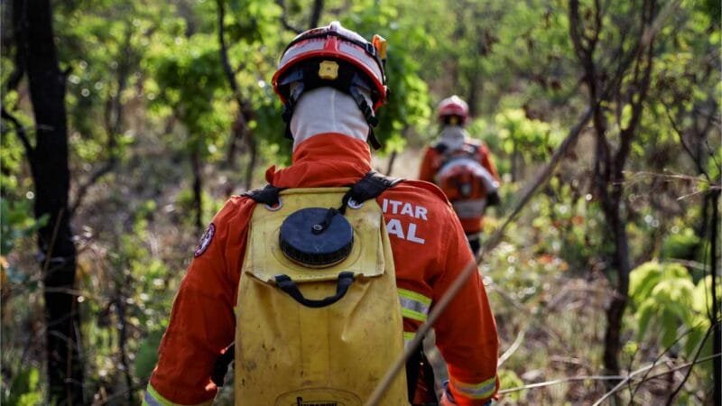 Corpo de Bombeiros combate 49 incêndios florestais em MT nesta quinta-feira (12)