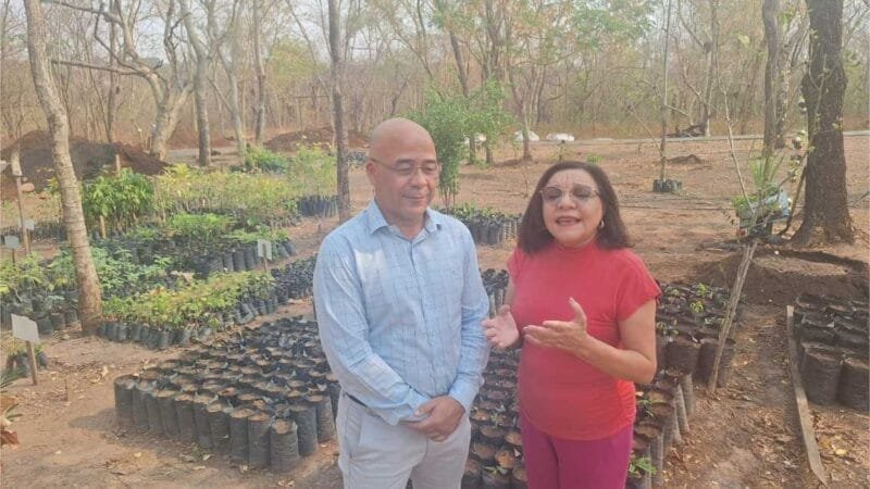 Maria Tezolin defende programa às áreas de proteção ambiental de VG