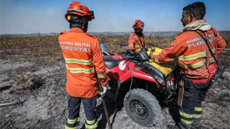 Polícia Civil já prendeu 16 pessoas por fazerem queimadas em florestas em MT