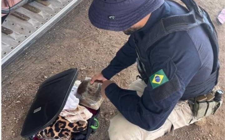 Mulher é presa com drogas em ônibus na BR-070, em Barra do Garças